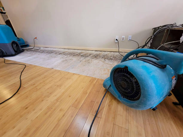 Reliable Basement Flood Cleanup contractor in Happy, TX by Hirex Water Damage