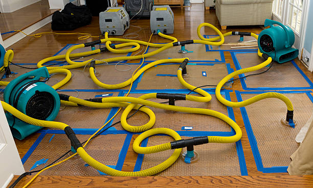 Professional Basement Flood Cleanup technician working in Happy, TX